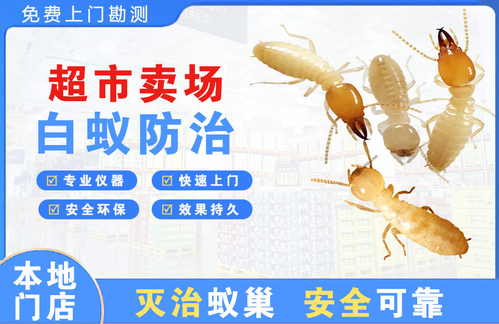 娄底超市卖场白蚁防治