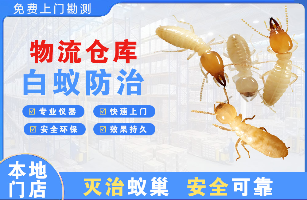 娄底物流仓库白蚁防治