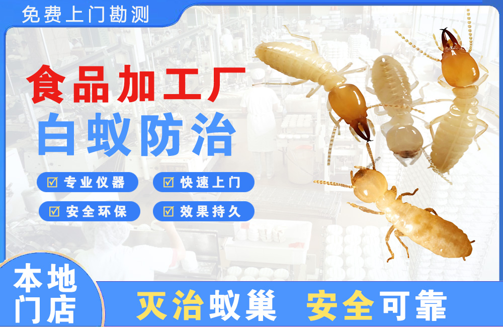娄底食品加工厂白蚁防治