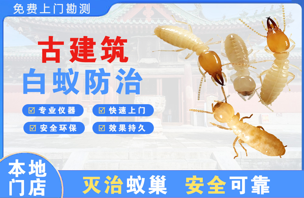 娄底古建筑白蚁防治