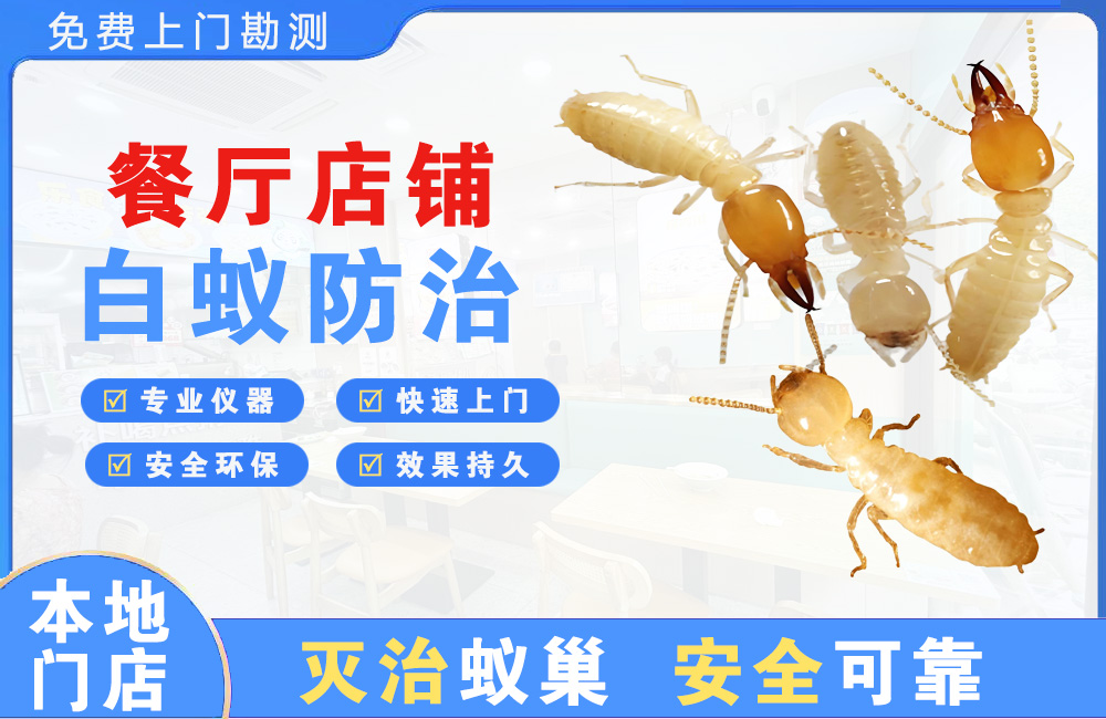 娄底餐厅店铺白蚁防治